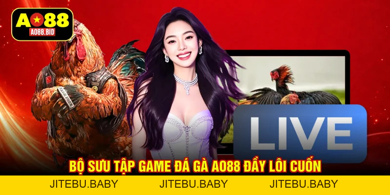 Đá Gà AO88 – Xem Đấu Trường Kê Chiến Đỉnh Cao, Thưởng Khủng - jitebu