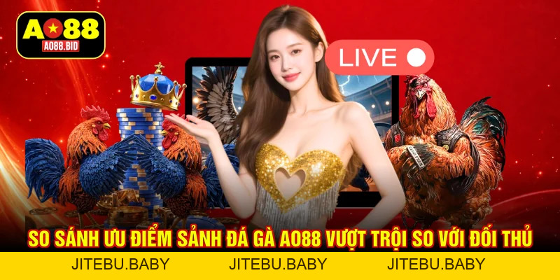Đá Gà AO88 – Xem Đấu Trường Kê Chiến Đỉnh Cao, Thưởng Khủng - jitebu